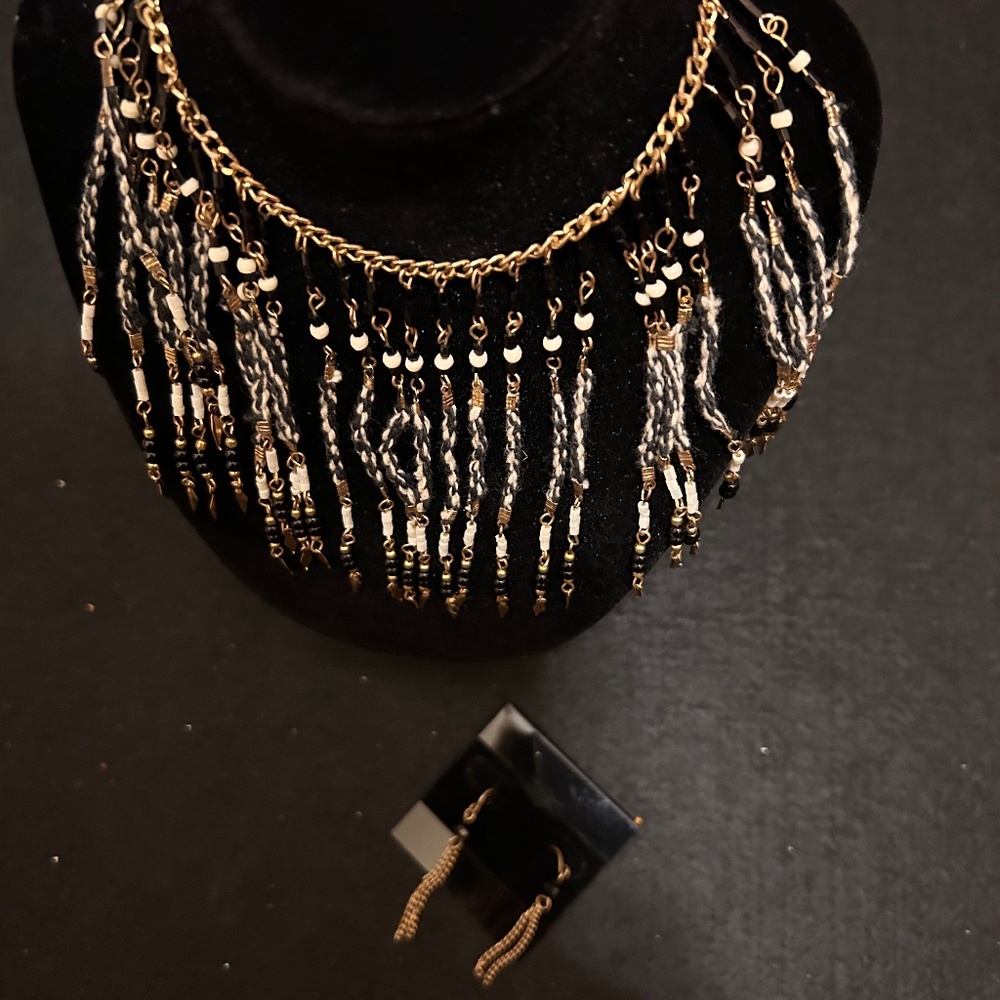 Beautiful Necklace snd  Pierced Earrings